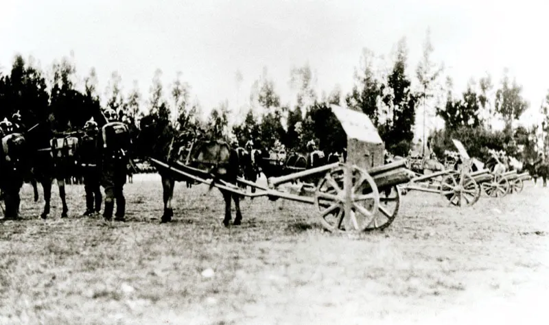 Batera de Artillera de traccin animal, de dotacin del Ejrcito Nacional, antes del Conflicto Amaznico.  