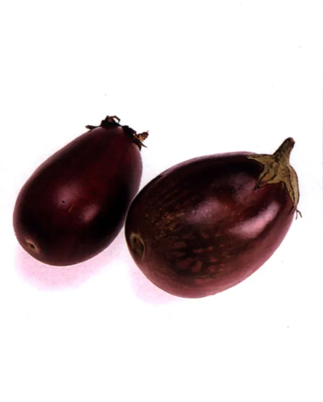 Berenjena
Nasu Matthew Leighton