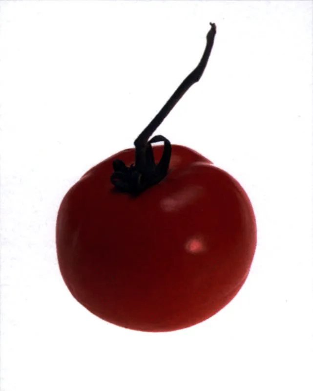 Tomate
Tomato Matthew Leighton
