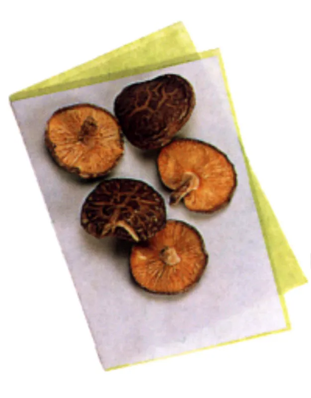 Shitake, Setas.
Matthew Leighton