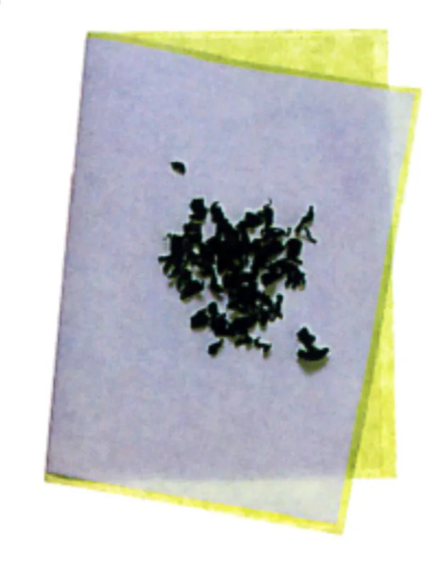 Wakame, Algas.
Matthew Leighton