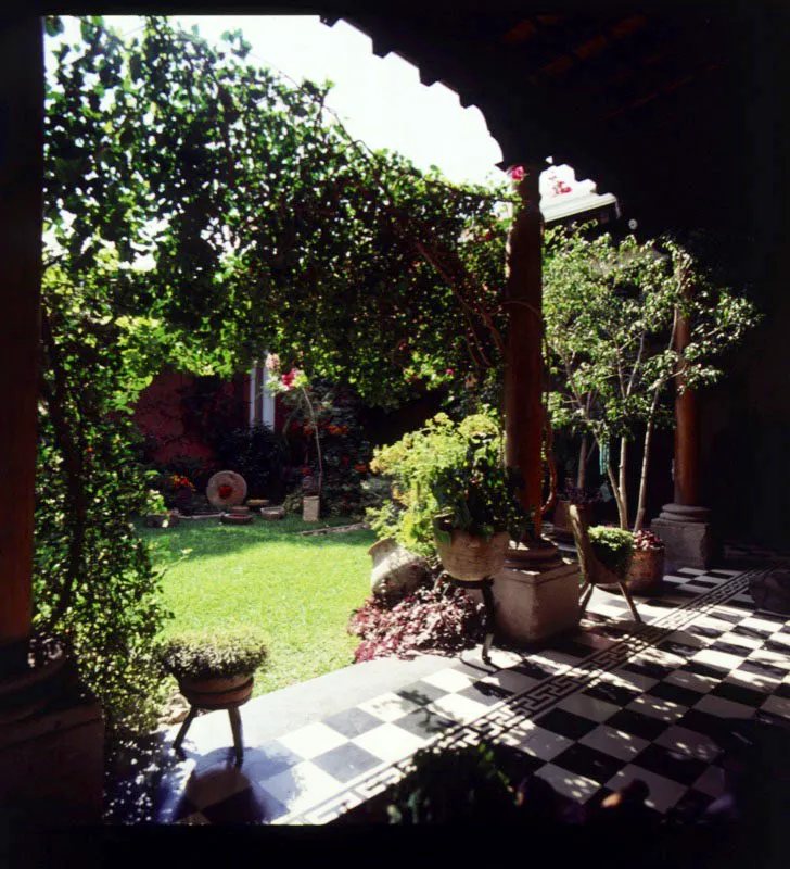 Antiguo patio transformado en jardín. La vegetación protege del sol y la lluvia, al tiempo que da nuevo sentido a la vida en la casa tradicional.