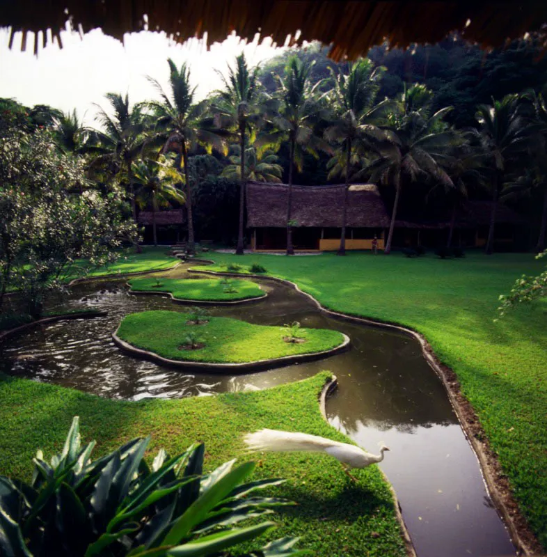 Jardn dentro de la misma finca, que en la margen opuesta muestra un atractivo juego de estanques con el rea de habitacin al fondo, rodeado de la vegetacin tropical caracterstica del rea. 