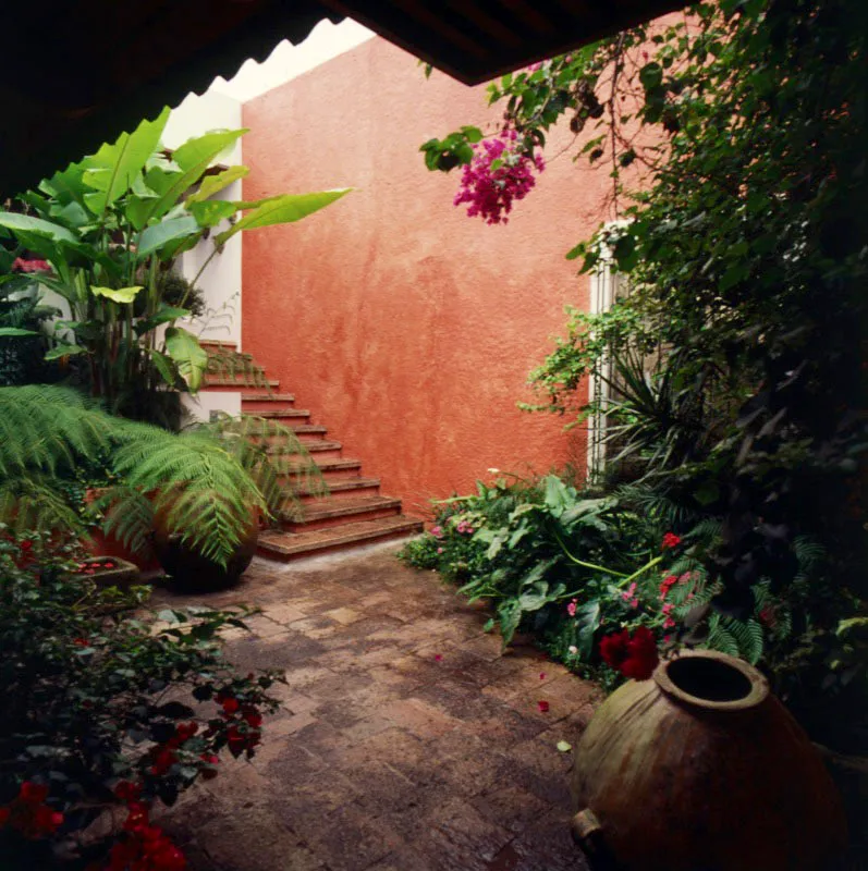 Espacio abierto con vegetación y piso de piedra, con arriates y flores, que da acceso a una sala interior.