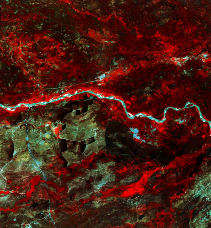 Cauce del río Apure
en los Llanos de Venezuela. Estado Apure.