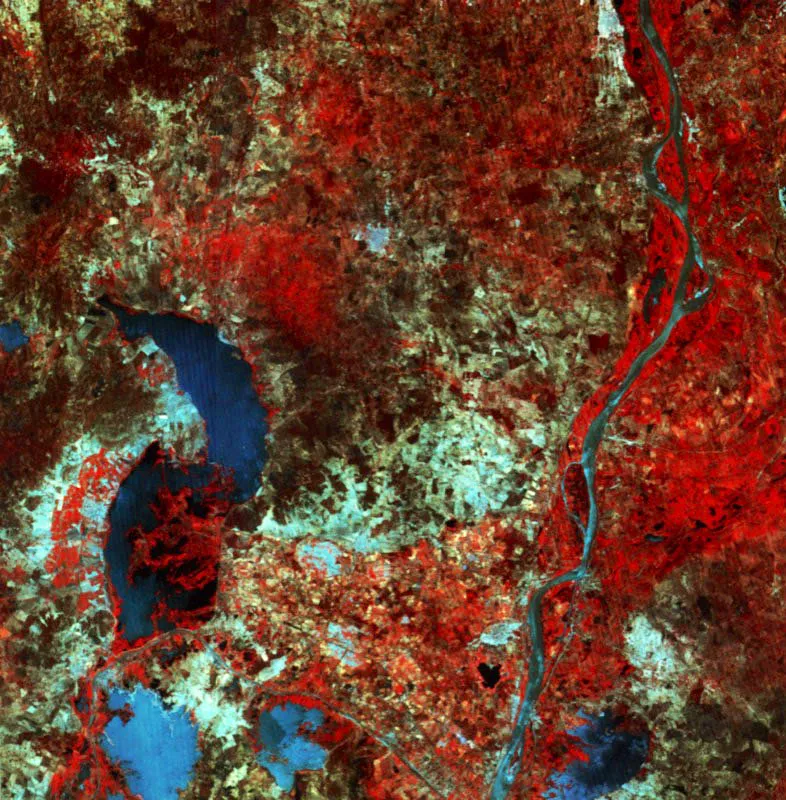 Ciénagas aledañas al río Magdalena entre
los departamentos de Bolívar y Magdalena, en Colombia.