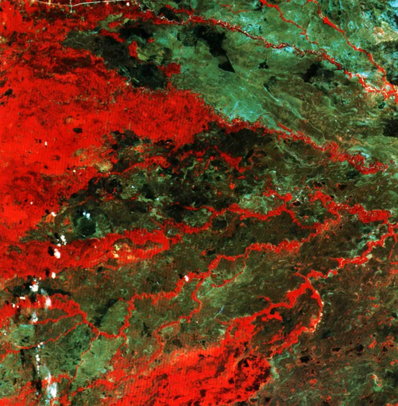 Región de los Llanos Orientales de Colombia.
Departamento de Arauca.