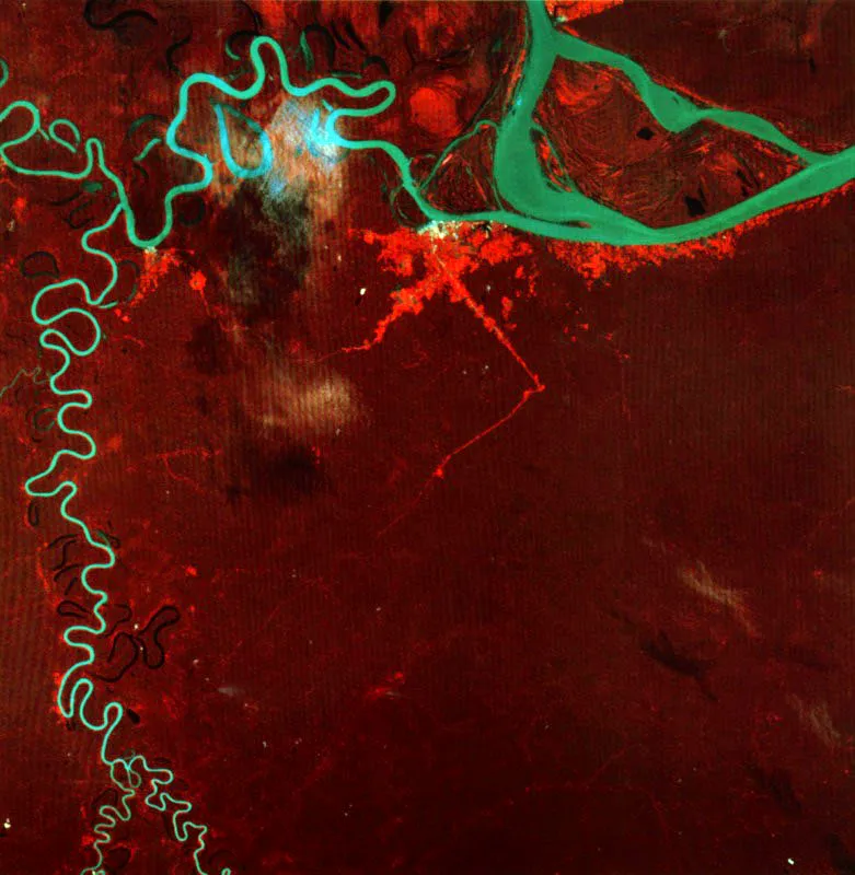 Aspecto de la selva amazónica brasileña,
al sur del río Amazonas y de su confluente el río Yavarí.