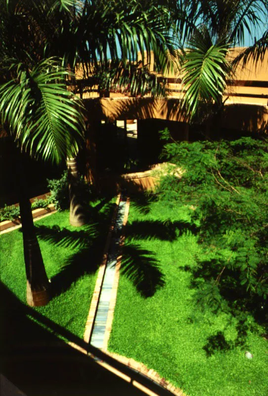 Patio central de la casa con palmeras y atarjea. 