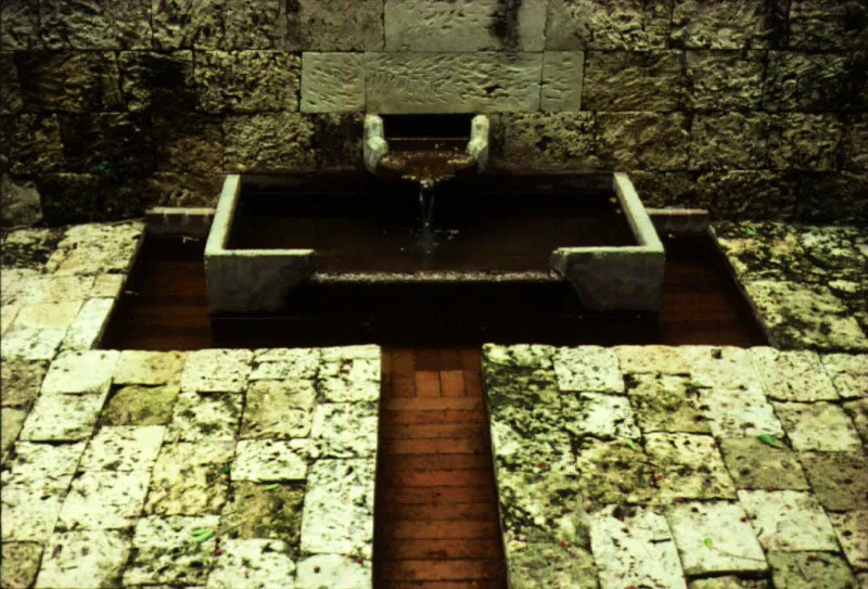 Salmona explora hábilmente diferentes caprichos del agua por medio de la arquitectura de fuentes, atarjeas y estanques.