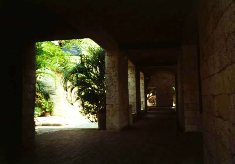Vegetación y arquitectura se entremezclan protegiendo a los usuarios del inclemente sol del Caribe.