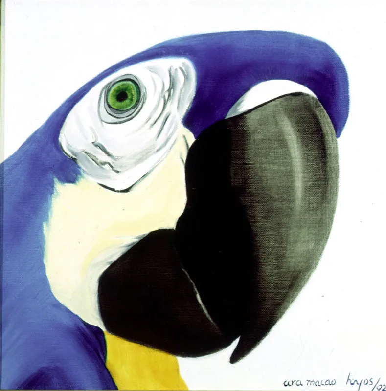 Ara Macao / 1992 / Óleo sobre lienzo / 35 x 35 cm Óscar Monsalve