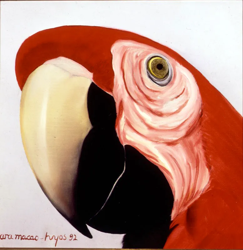 Ara Macao / 1992 / Óleo sobre lienzo / 35 x 35 cm Óscar Monsalve