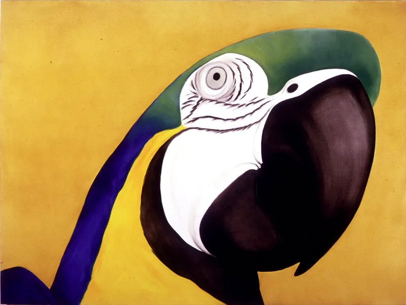 Ara Araraune / 1992 /
Óleo sobre lienzo / 150 x 200 cm Óscar Monsalve