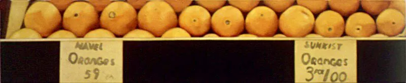 Bodegón de Nueva York / 1997 / Óleo sobre lienzo / 25 x 120 cm Óscar Monsalve