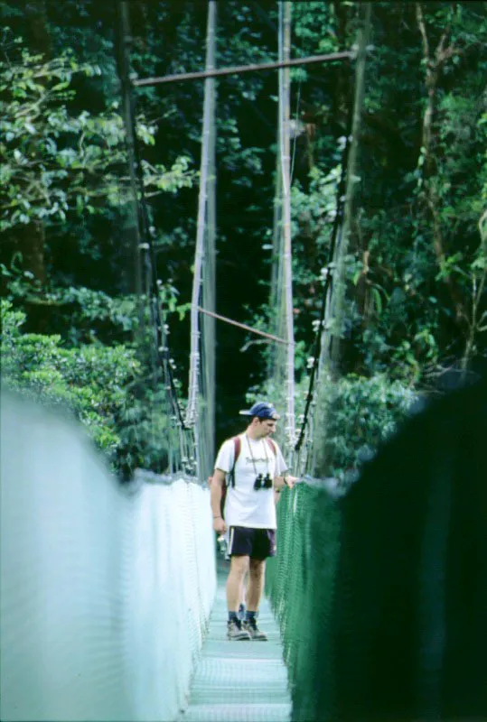 Skywalk. Monteverde, Puntarenas Gloria Caldern