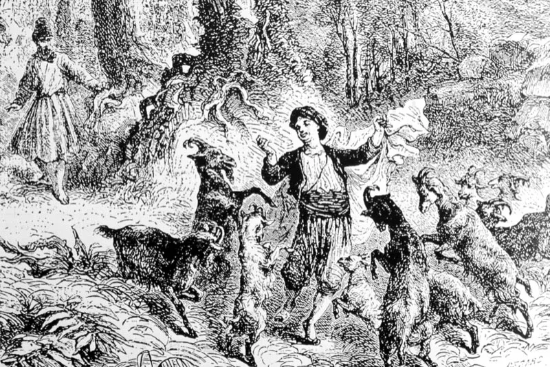 El pastorcito con sus alegres cabras. Ilustración de la fantástica leyenda de las cabras agitadas por haber comido hojas y frutos de un determinado arbusto. El pastorcito probó la fruta y difundió las propiedades estimulantes de la planta, que resultó ser el café.