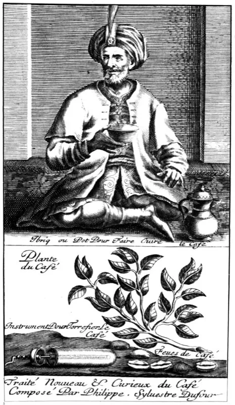 Un visir bebiendo café de una taza de porcelana tradicional del Medio Oriente. En la parte inferior se observan una planta y granos del café, así como un instrumento para molerlo. Grabado sobre cobre, obra de Ogier, tomado del libro de Philippe Sylvestre Dufour, 1685.
