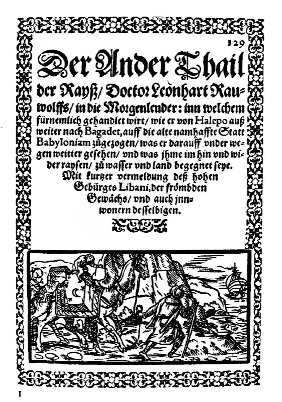  Plancha tomada del libro Reisebeschreibungen in den Orient, de Leonhard Rauwolf 1582. Es la primera obra conocida y editada en Europa sobre el caf. 