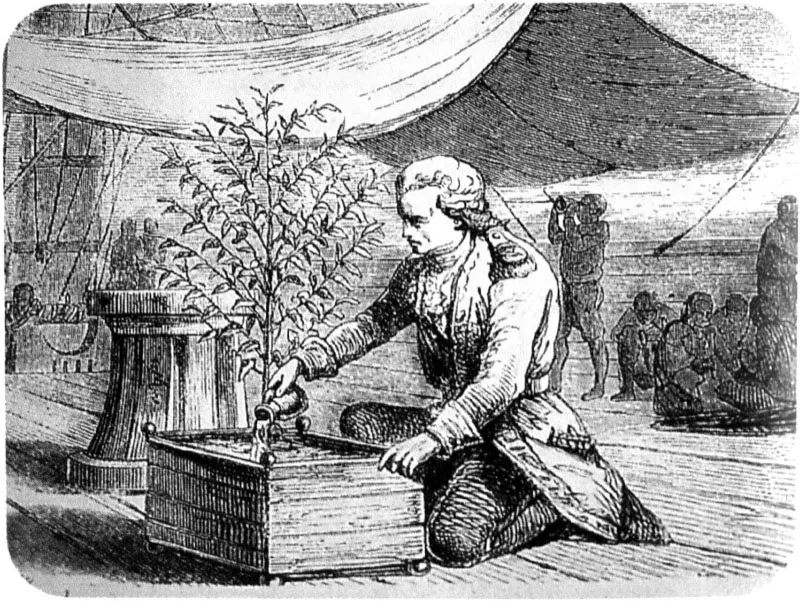 El Capitán Gabriel Mathieu de Clieu comparte su ración de agua con la planta de café, en la travesía de Francia a Martinica, en 1723. La planta se salvó y sus semillas contribuyeron a propagar el café en el Nuevo Mundo.
