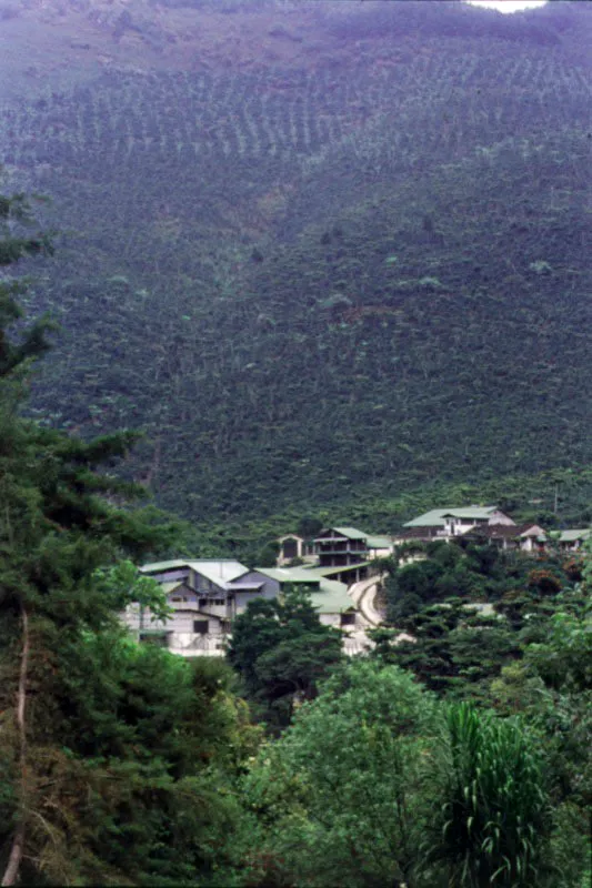 Finca El Injerto, Huehuetenango. 