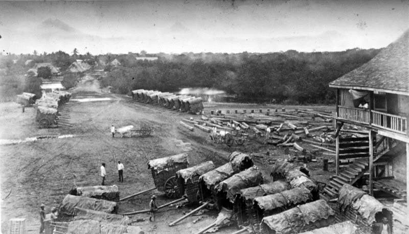 Carretones que llevaban el caf al puerto de San Jos. Fotografa de Eadweard Muybridge, 1875. 