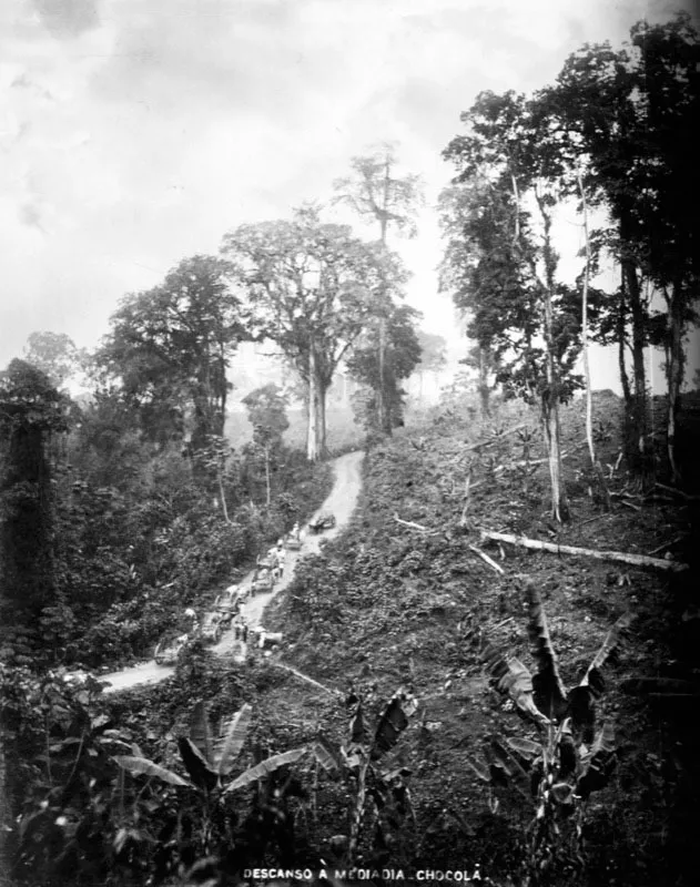 Carretones pasando por un camino en un cafetal en la bocacosta sur. Fotografía de Joaquín Alcain, ca.1886.