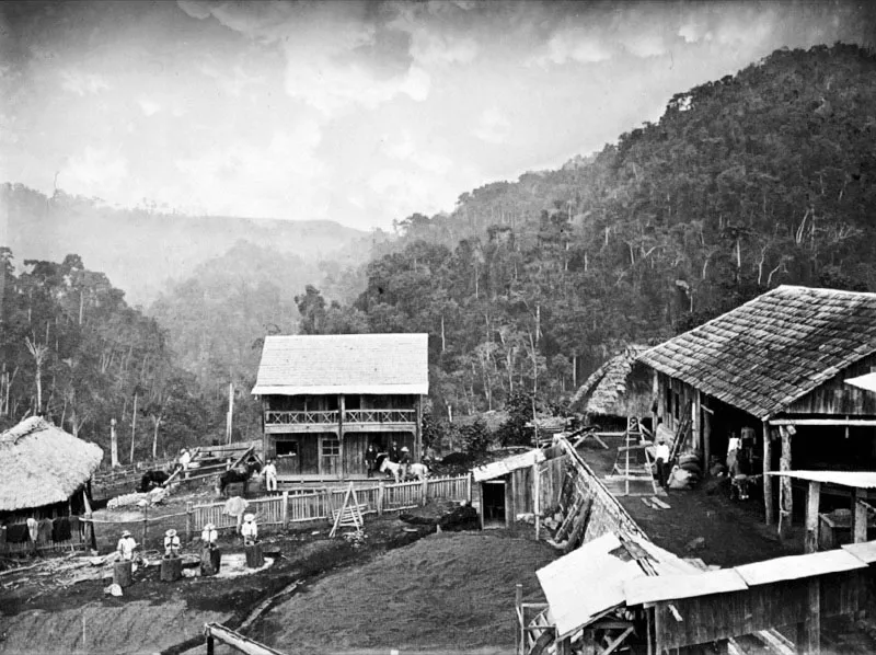 Finca La Unión (se supone que está en la Costa Cuca).Ilustra cómo trabajadores mortean café. A la derecha se observa el beneficio rústico. Fotografía de Joaquín Alcain, ca. 1886.