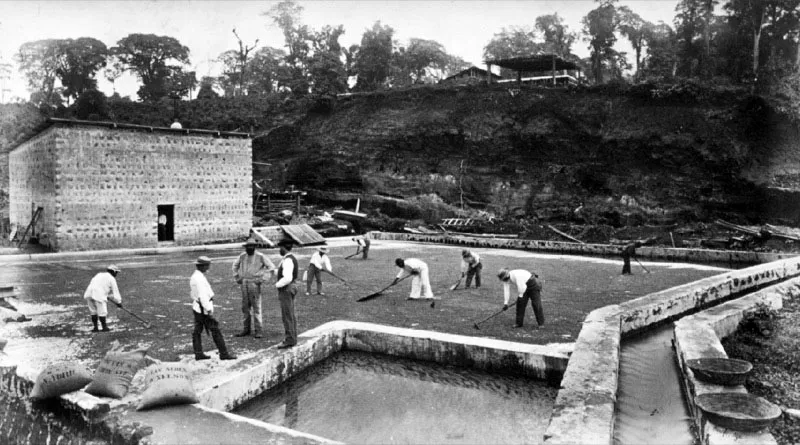 Patio de secado con correteo. Finca Las Nubes, Mazatenango, Suchitepéquez. Fotografía de Eadweard Muybridge, 1875.