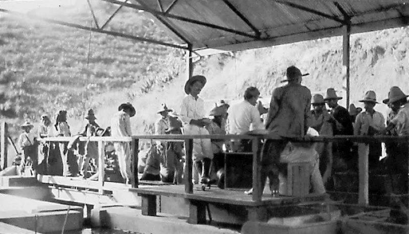 Trabajadores entregando el café cortado en el día.