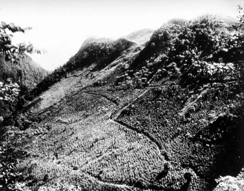Finca Panzamalá, en San Pedro Carchá, Alta Verapaz, ca. 1910.