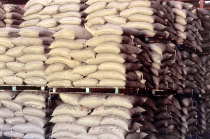 Sacos de café apilados en bodega.
