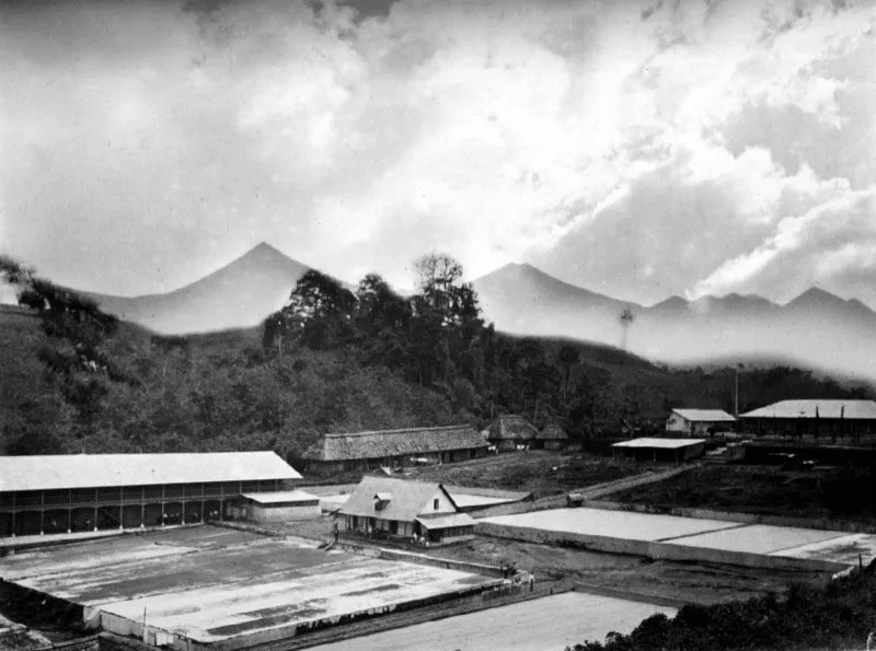 Finca La Libertad, Costa Cuca, Quetzaltenango. Fotografía de Joaquín Alcain, ca. 1886.