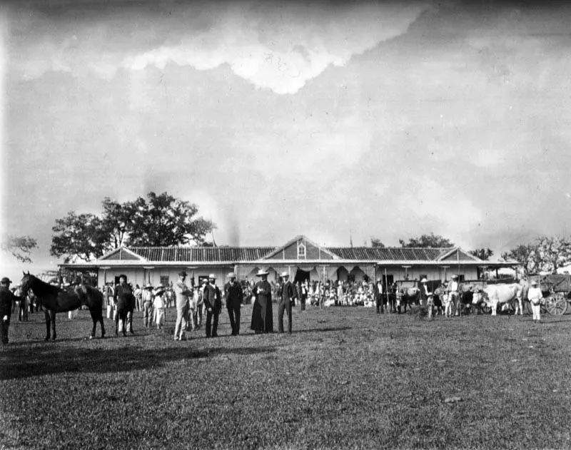 Finca Las Vias, en Santa Rosa. Miguel Urruela la vendi a la Compaa Hansetica de Hamburgo, en 1889. Fotografa de Joaqun Alcain, ca. 1886. 