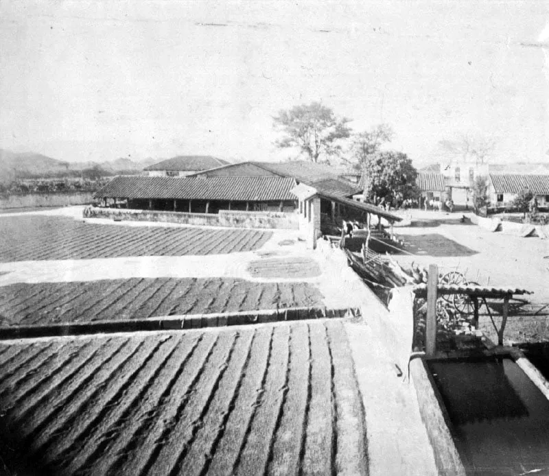 Patio de secado con beneficio y casa patronal (der.), de la finca Cerro Redondo, Santa Rosa. Fotografía de Joaquín Alcain, ca. 1886.