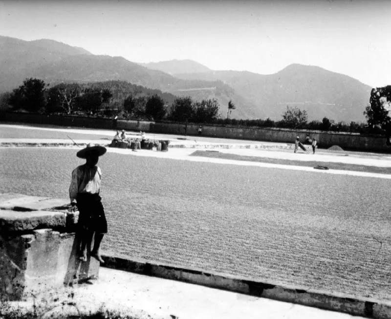 Patio de finca no identificada. Fotografía de Juan José de Jesús Yas, ca. 1920.