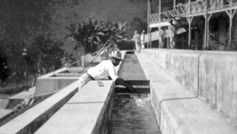 Lavado de caf en el correteo, finca Helvetia, Quetzaltenango, ca. 1920.
 