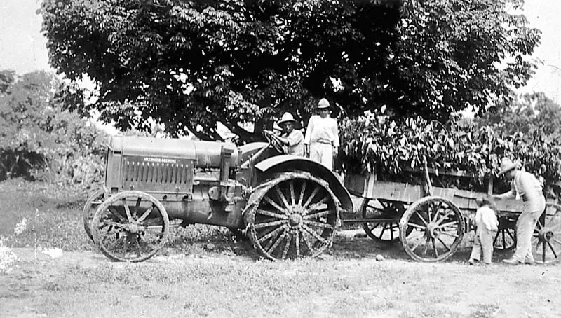 Tractor halando una carreta con cafetos en la finca Santa Isabel, Pueblo Nuevo Viñas, Santa Rosa.