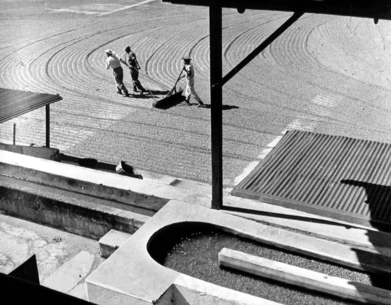 Patio de secado y pila de correteo en la finca Oná, en San Marcos, 1950. Fotografía de George Holton.