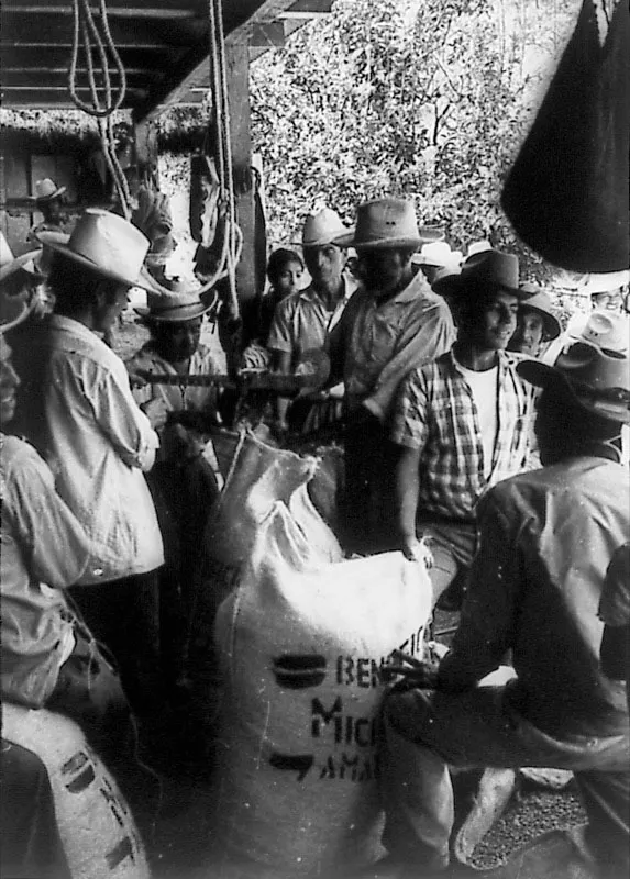 Pequeños productores pesando café.
