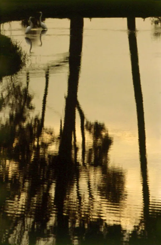 San Andrés Golf Club. Cristóbal von Rothkirch