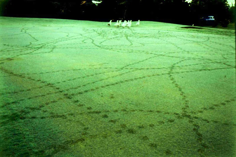 Los Andes Golf Club. Cristóbal von Rothkirch