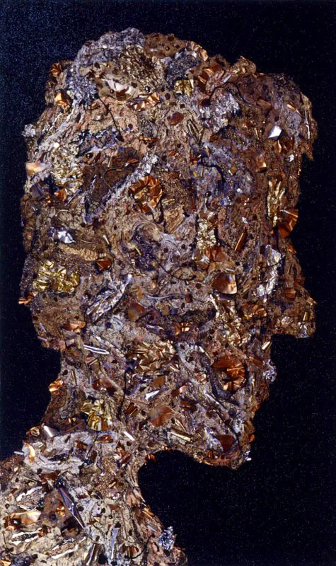 El dorado, 2002.
Técnica mixta sobre lienzo, 114 x 195 cm
Tsu Chen Chen