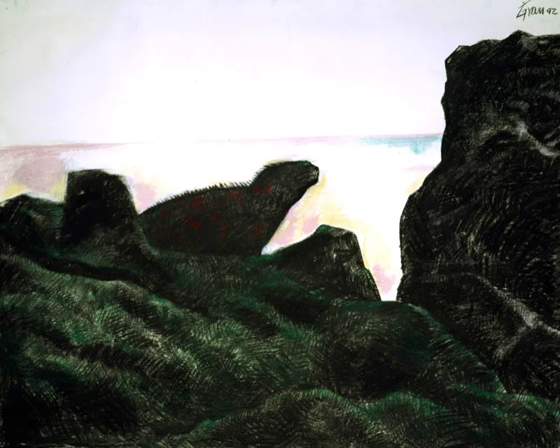 Galpagos, Iguanas. 1993. Carboncillo y pastel sobre papel.  110 x 140 cm 