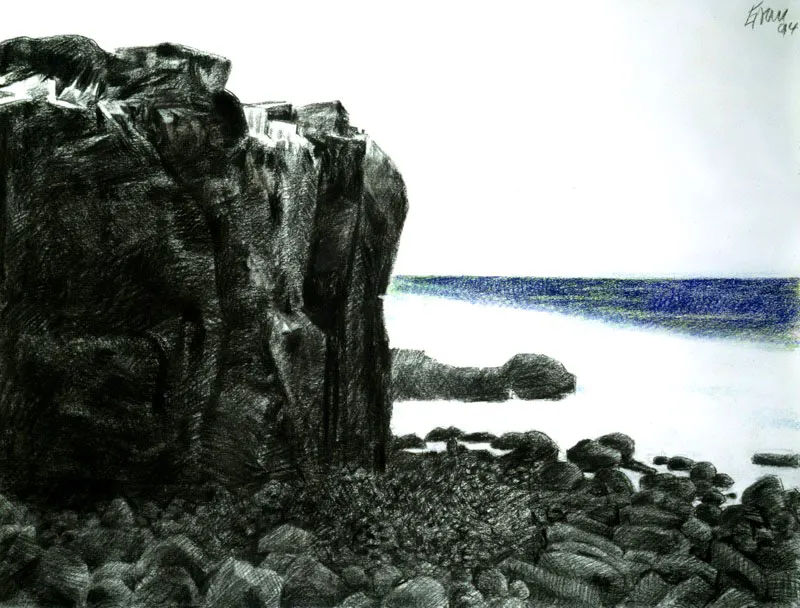 Galpagos, Iguanas. 1994. Carboncillo y pastel sobre papel.  110 x 140 cm 