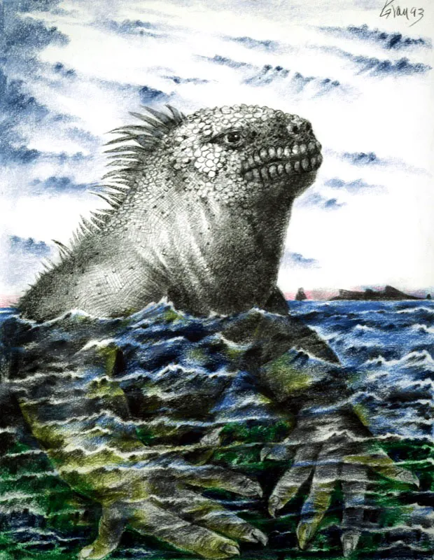 Galpagos, Iguanas. 1993. Carboncillo y pastel sobre papel.  110 x 140 cm 