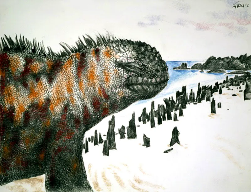 Galpagos, Iguanas. 1993. Carboncillo y pastel sobre papel.  140 x 110 cm 