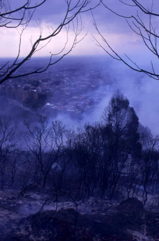 Cerros de Bogot Cristbal von Rothkirch