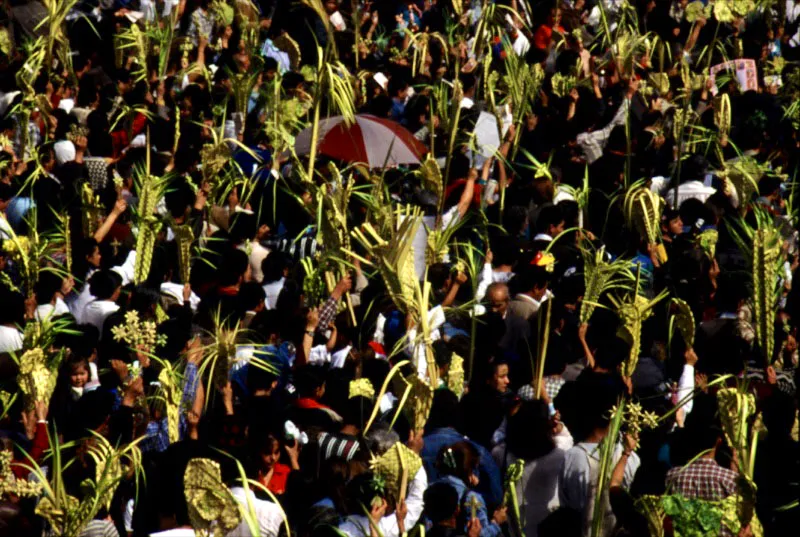 Domingo de Ramos, barrio Veinte de Julio Cristbal von Rothkirch