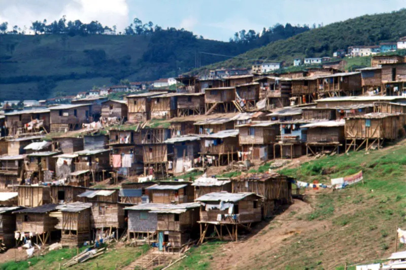 Barrios subnormales, construidos en guadua, en menos
de un mes.
Manizales, Caldas, Colombia.